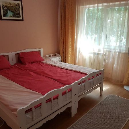 Apartament Aura Apartment Oradea Bagian luar foto