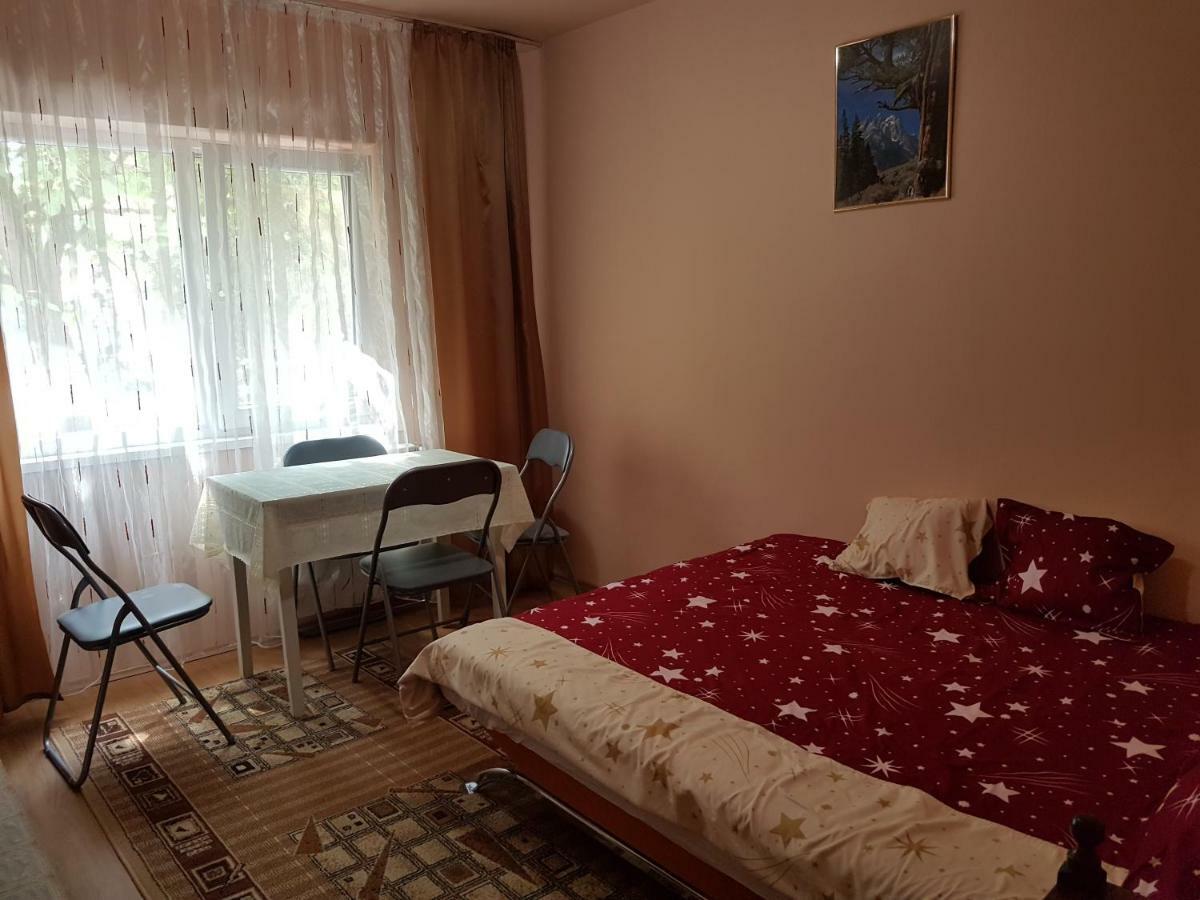 Apartament Aura Apartment Oradea Bagian luar foto