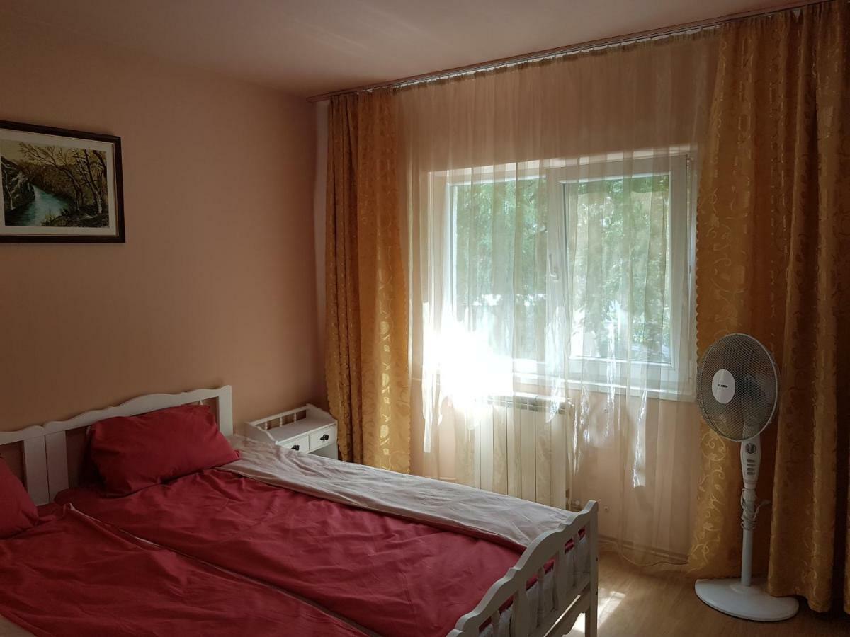 Apartament Aura Apartment Oradea Bagian luar foto