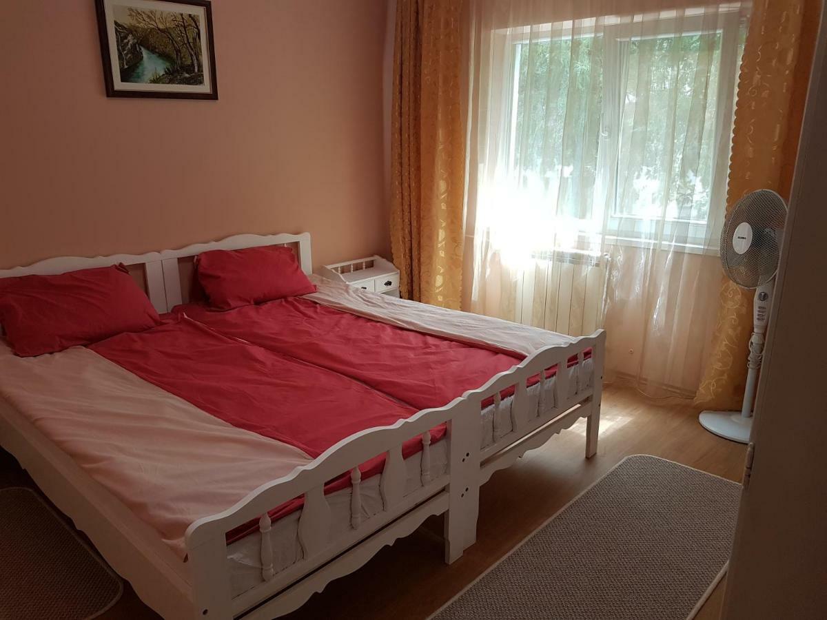 Apartament Aura Apartment Oradea Bagian luar foto